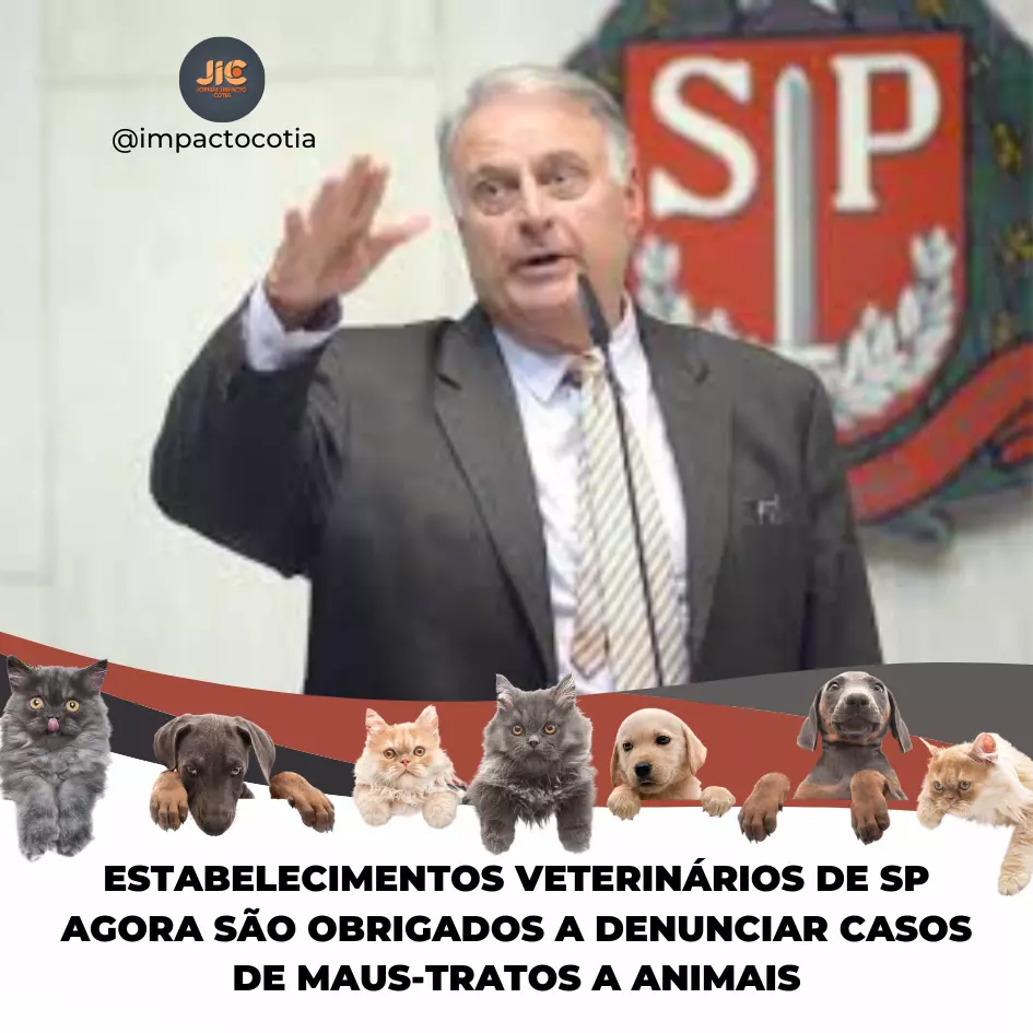 Estabelecimentos veterinários de SP agora são obrigados a denunciar casos de maus-tratos a animais